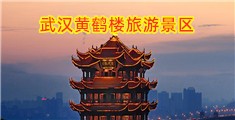 蘑菇视频后入操逼