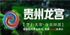 美女们干逼逼的免费视预