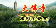 免费看操骚逼骚逼小逼小逼小逼逼中国浙江-新昌大佛寺旅游风景区