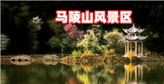 西瓜视频免费女的逼逼